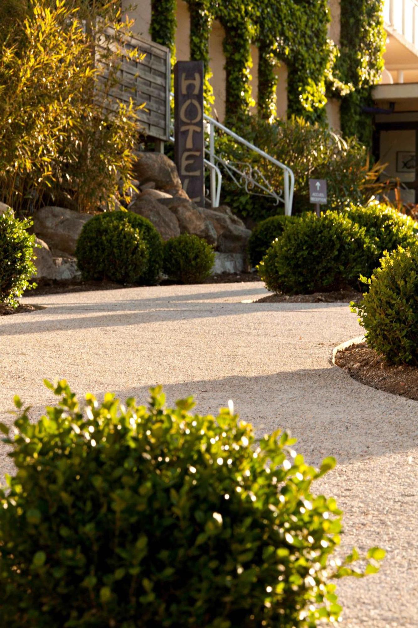 Hotel & Spa Les Mouettes Argelès-sur-Mer Exterior foto